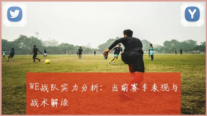 WE战队实力分析：当前赛季表现与战术解读