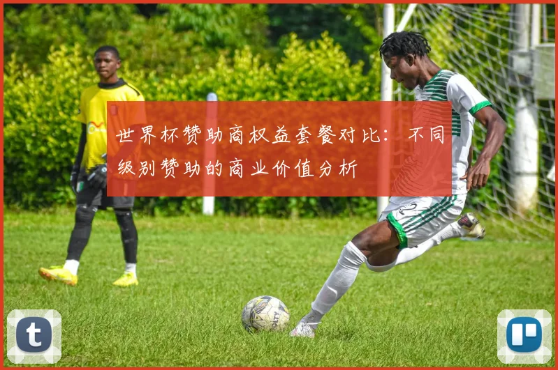 世界杯赞助商权益套餐对比：不同级别赞助的商业价值分析